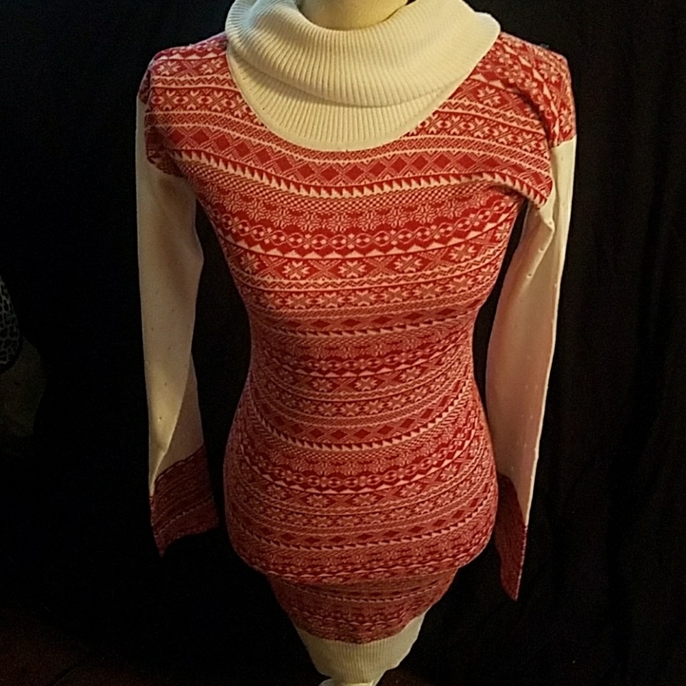 Turtleneck Dress
